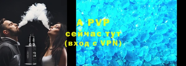 стафф Гусев