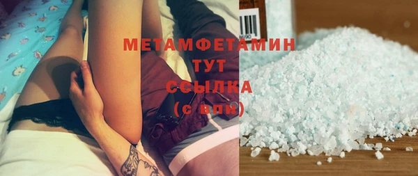 стафф Гусев