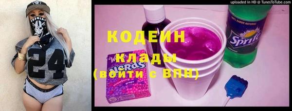 стафф Гусев