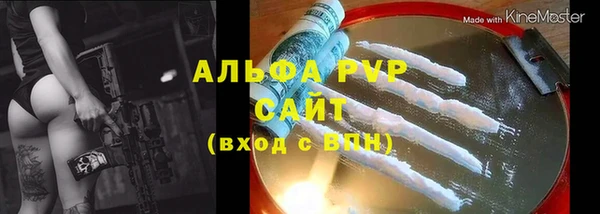 стафф Гусев