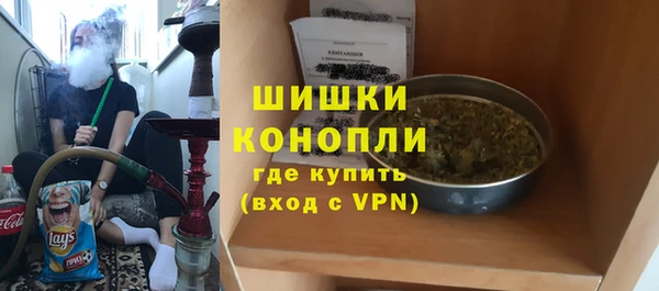стафф Гусев