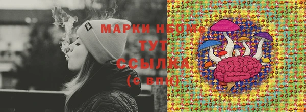 стафф Гусев