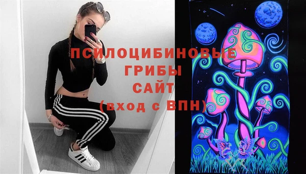 соль ск Гусиноозёрск